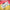 Digital $100 Gift Card (Primary Image)