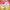 Digital $50 Gift Card (Primary Image)