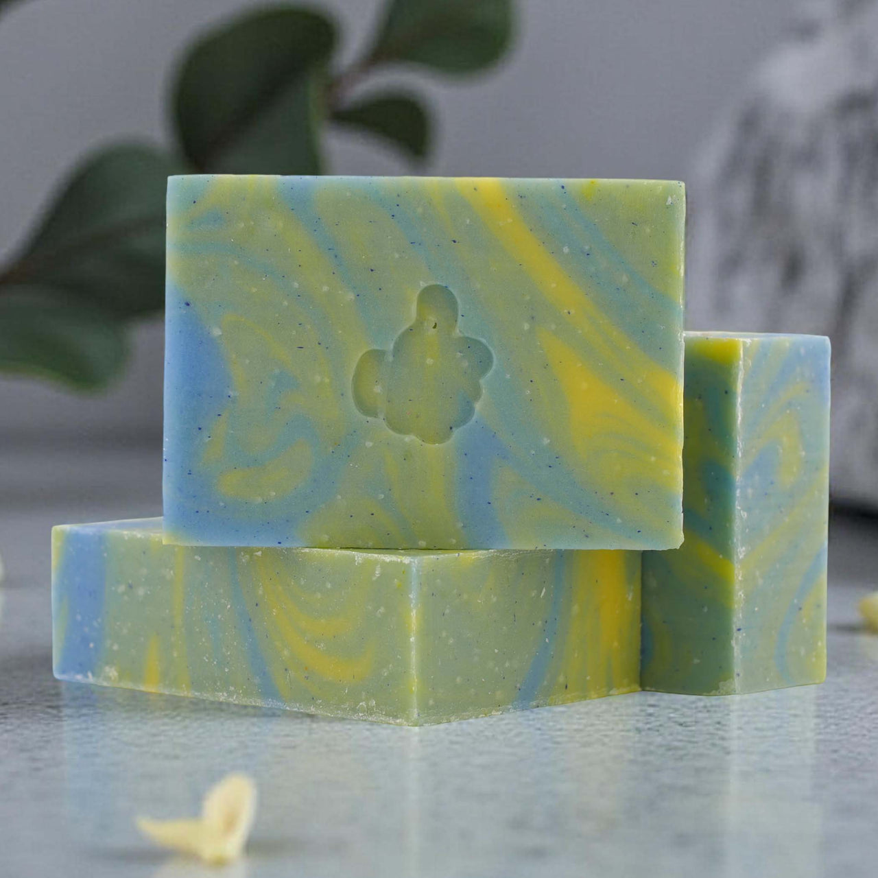 I gotta buddy who raves about Riptide Reverbs - Bar Soap